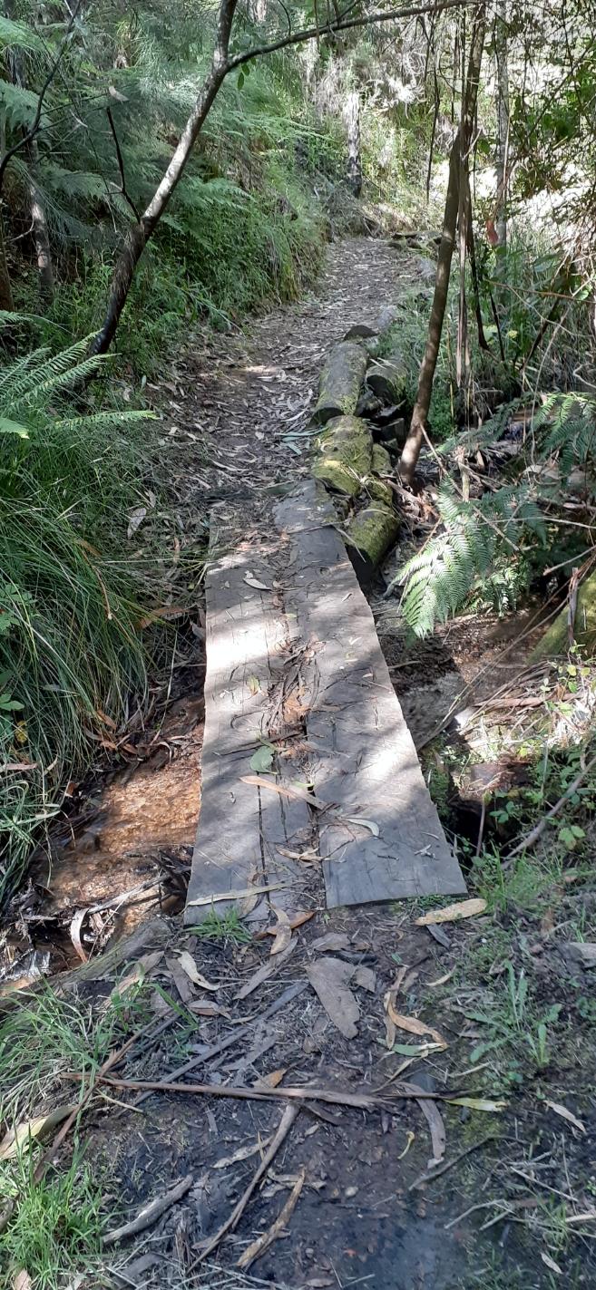 Junction Gully Walking trail  bridge crossing